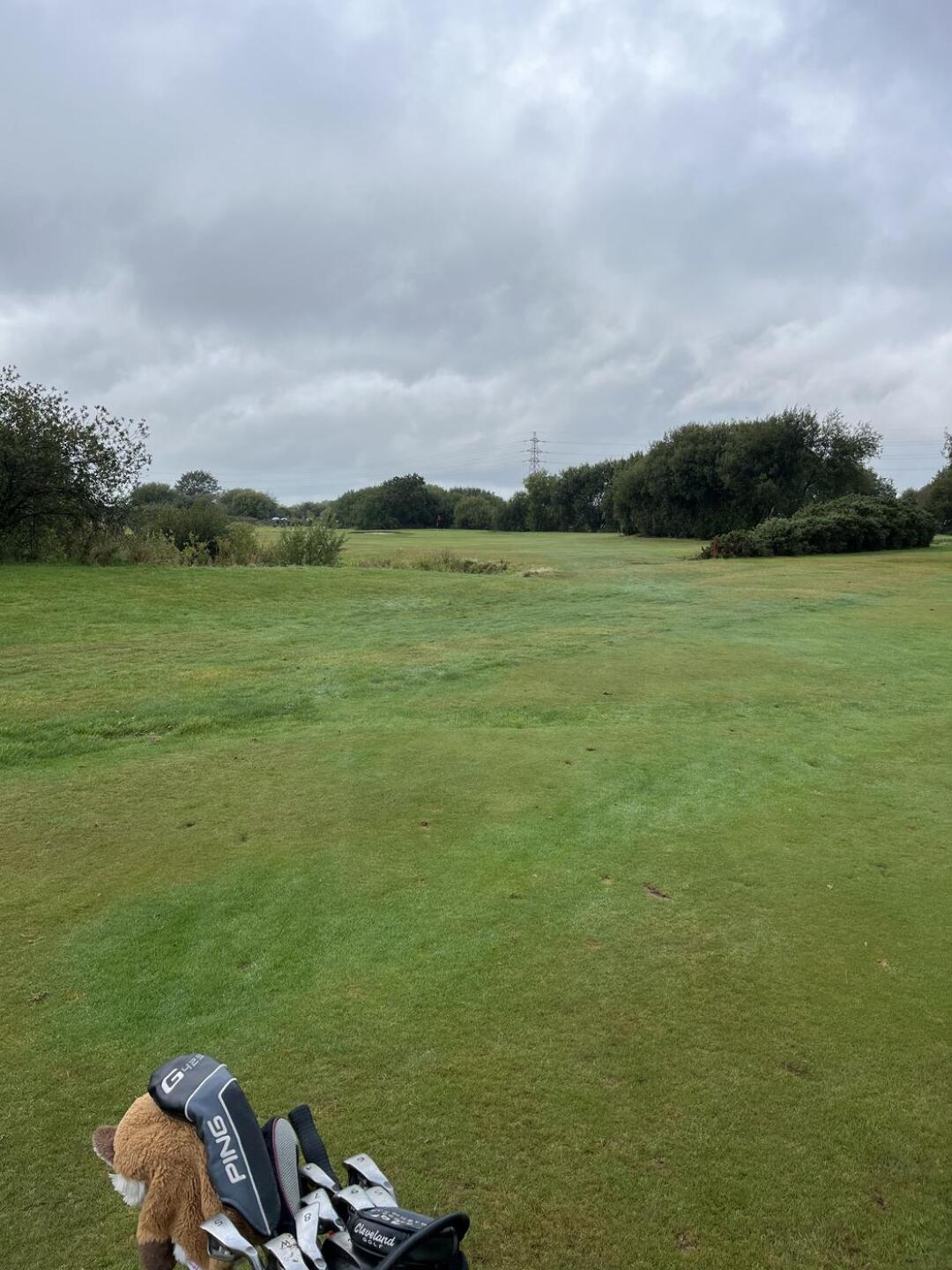 (Photo submitted by u314160815531 on 09/16/2025)