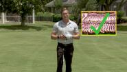 Chicken Wing – Best Diet For Your Swing