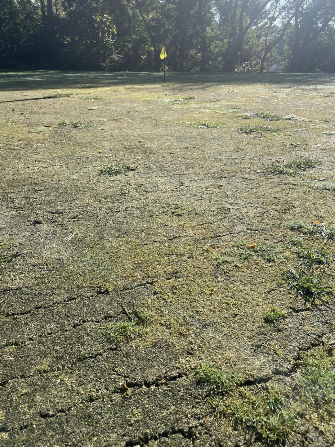 This is the “green” on 6 (Photo submitted by shrednh on 09/18/2023)
