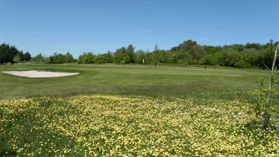 Launceston GC: #5