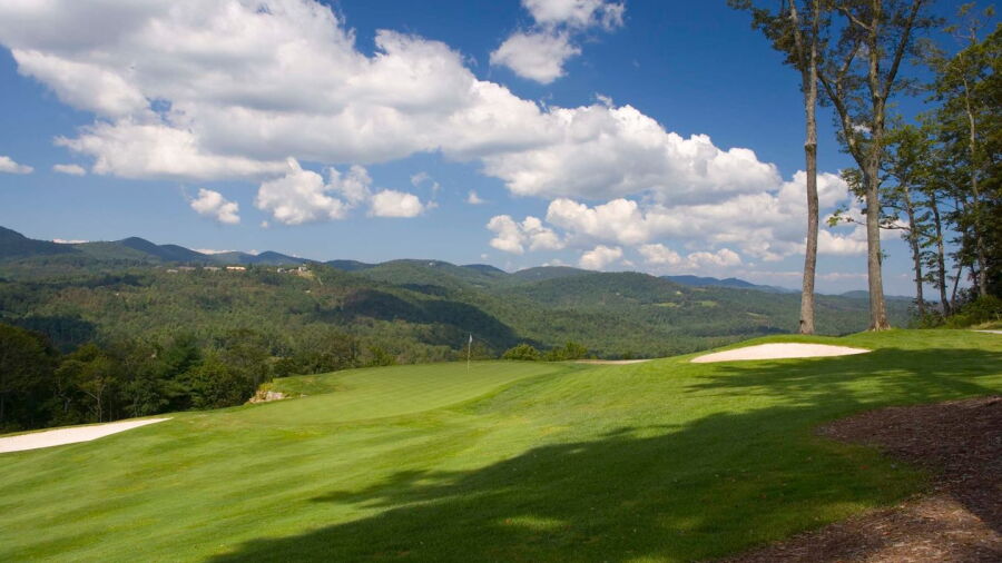 Trillium Links: #8