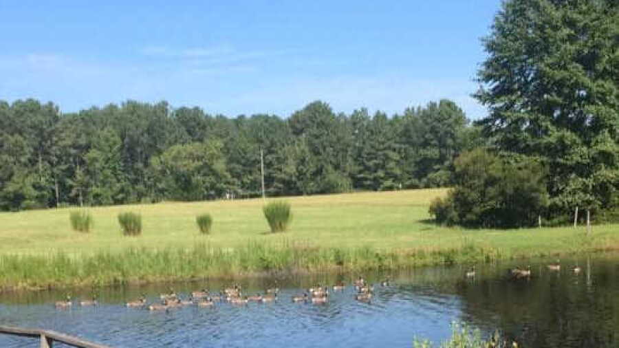 Cypress Lake Par-3 GC