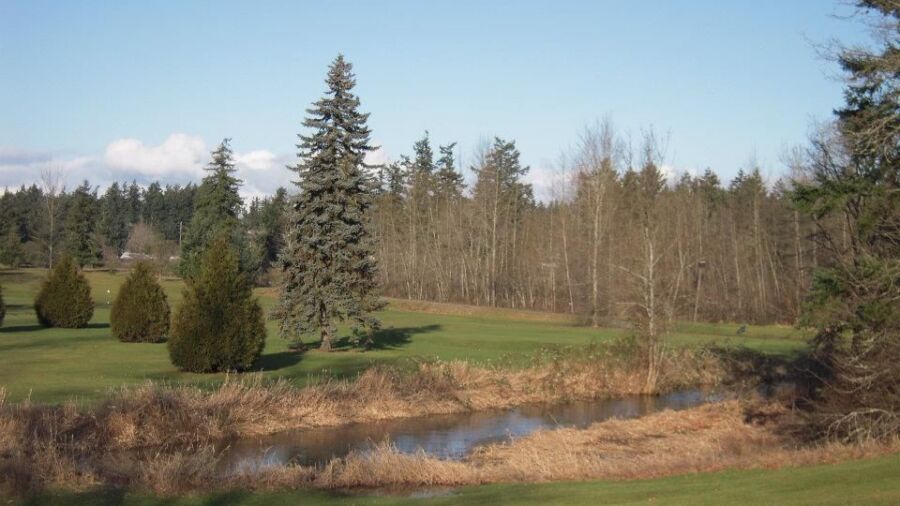 Brookdale GC: #8