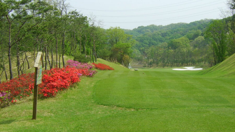 Yongin CC