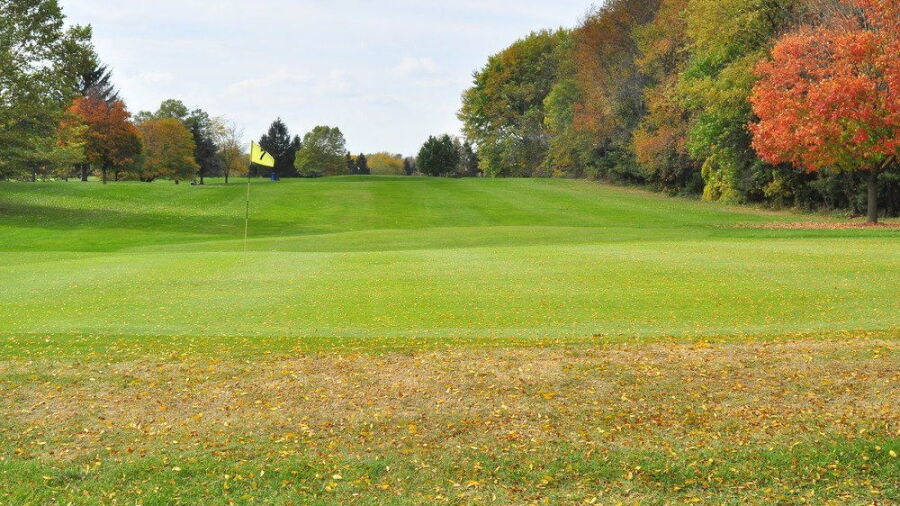 Bonnie View GC: #7