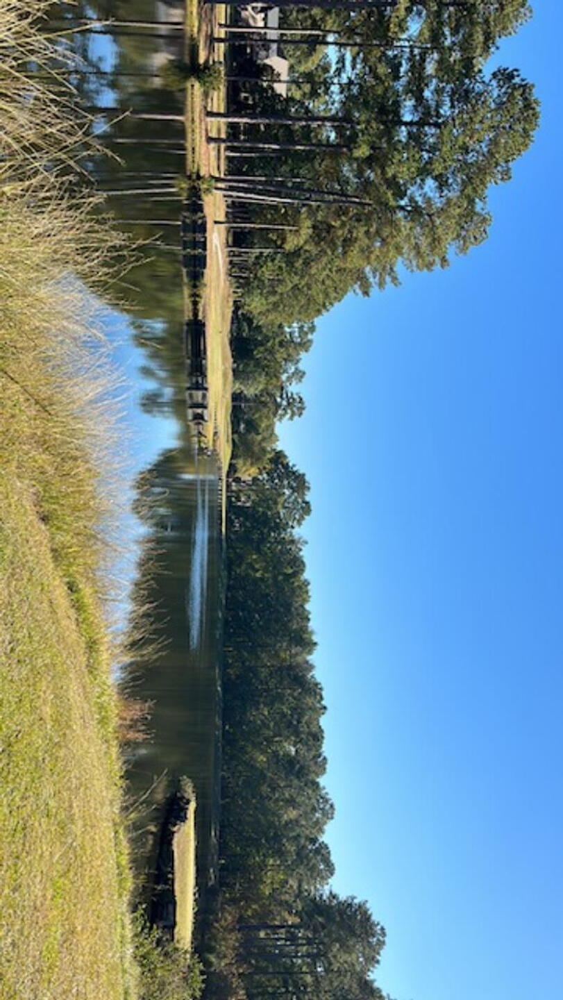 9th hole (Photo submitted by Amestdian on 10/26/2022)