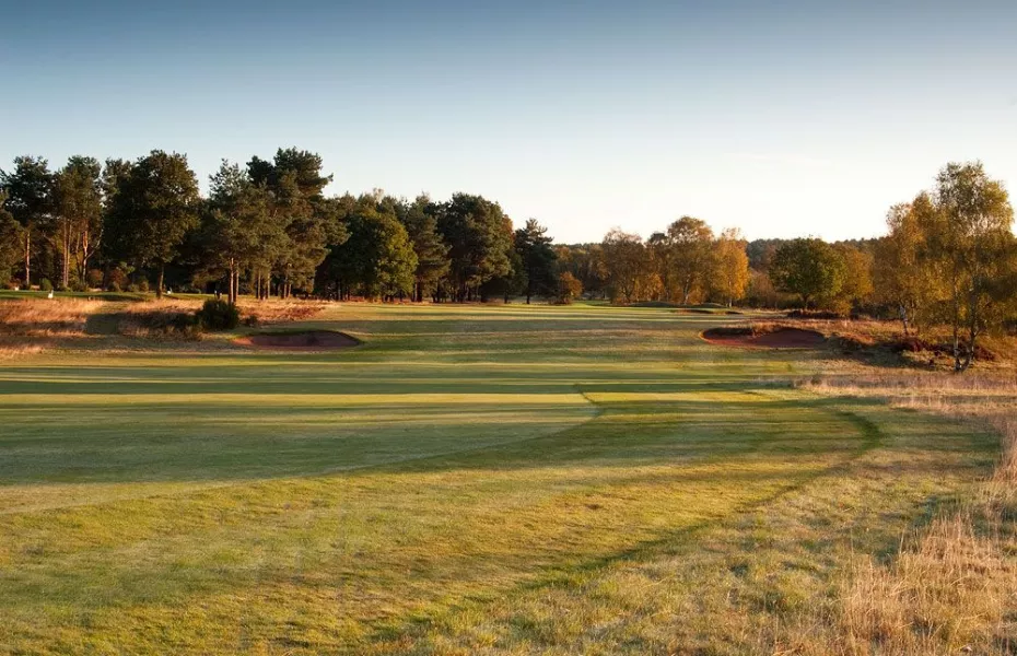 Sherwood Forest GC: #9
