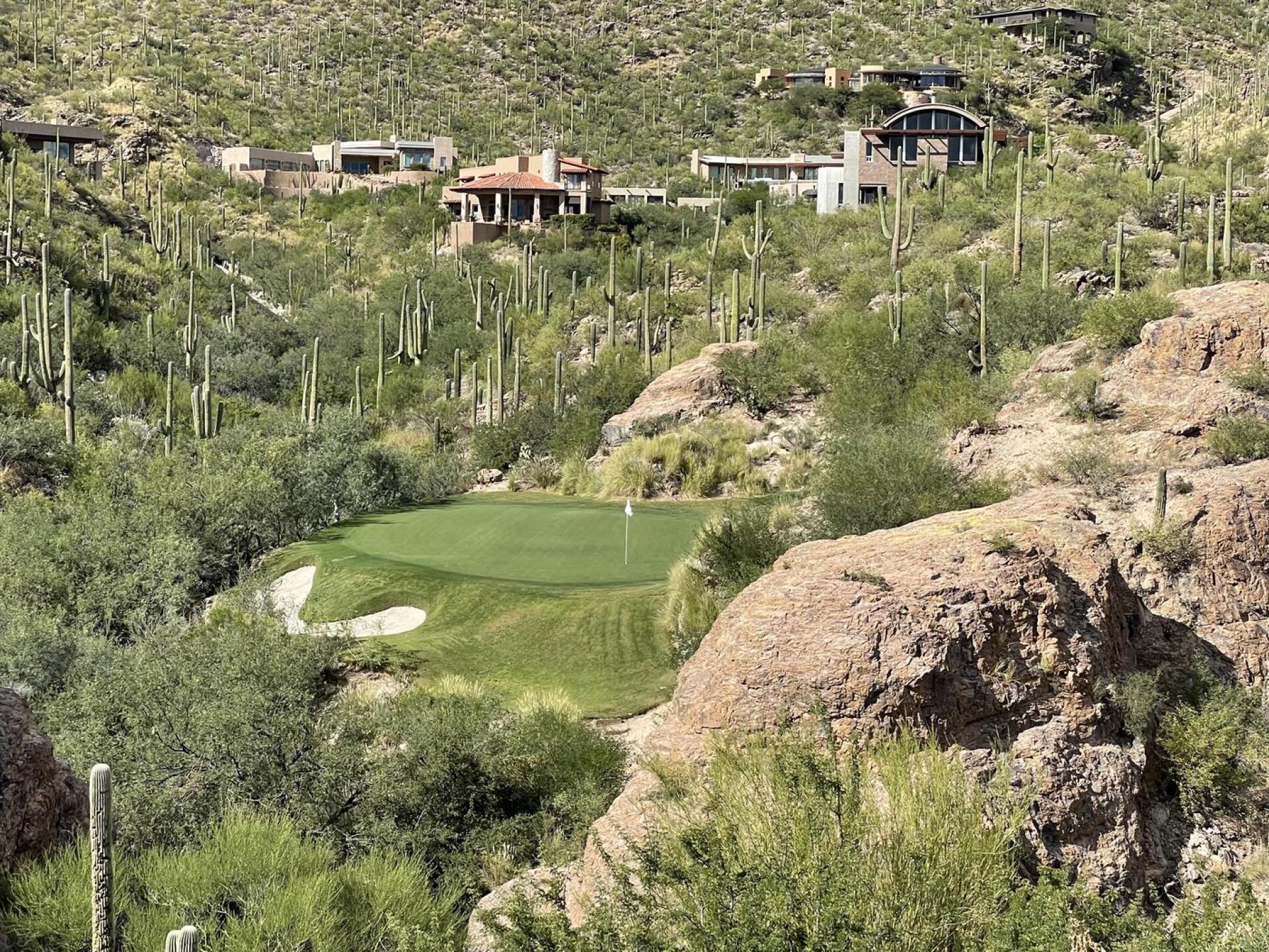 (Photo submitted by u000004321456 on 10/12/2022)