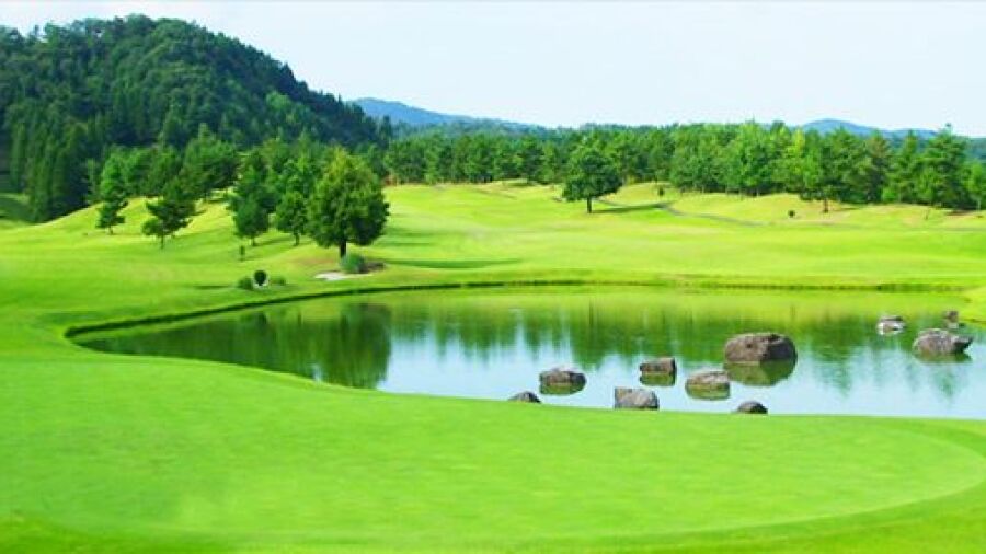 Gold Fukui CC: #9