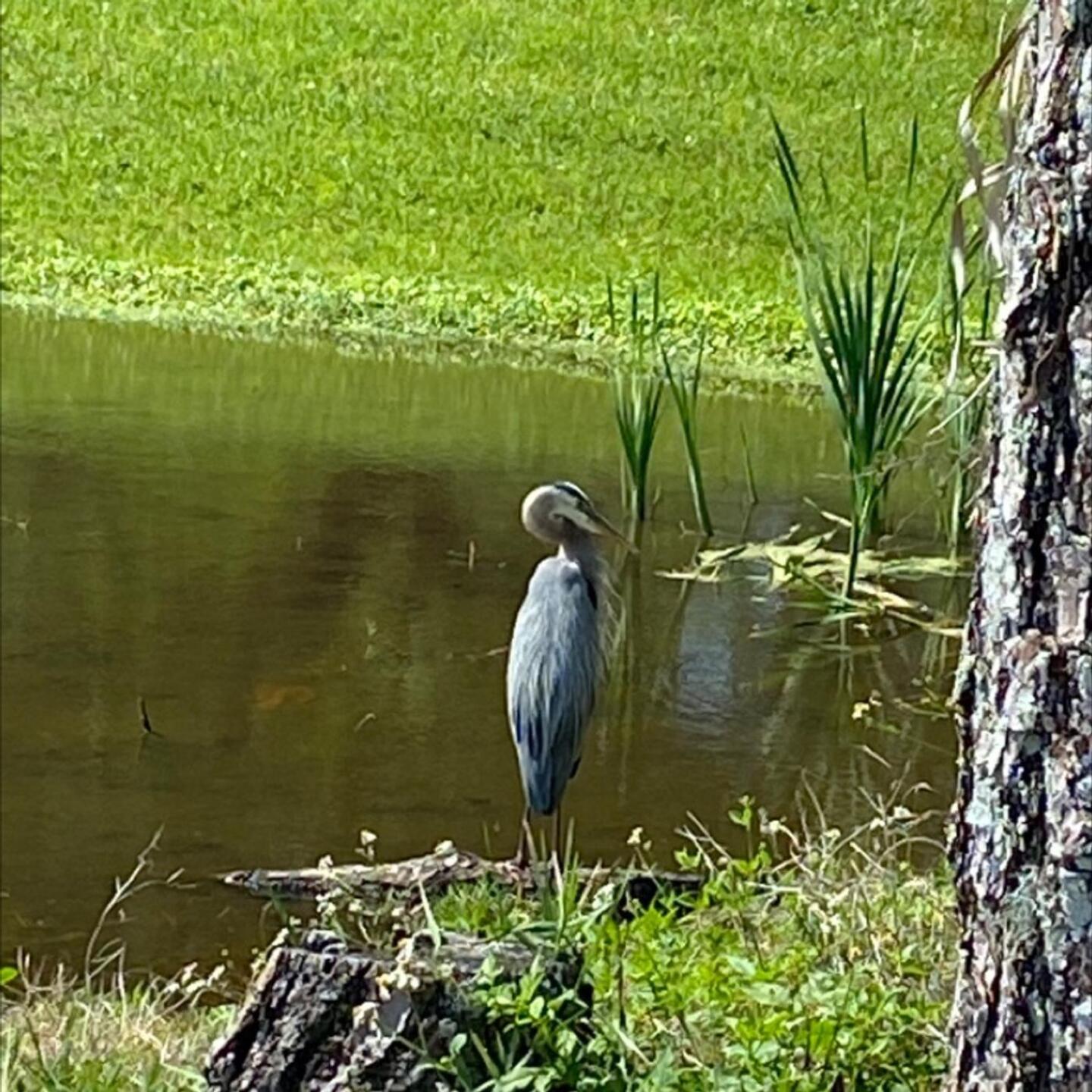 (Photo submitted by u00000445959 on 03/28/2022)