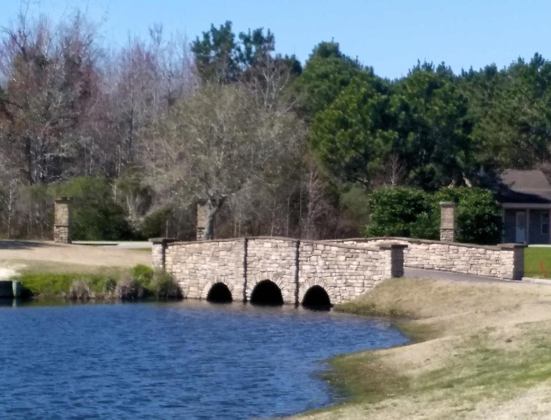 (Photo submitted by sixeagles on 03/12/2019)