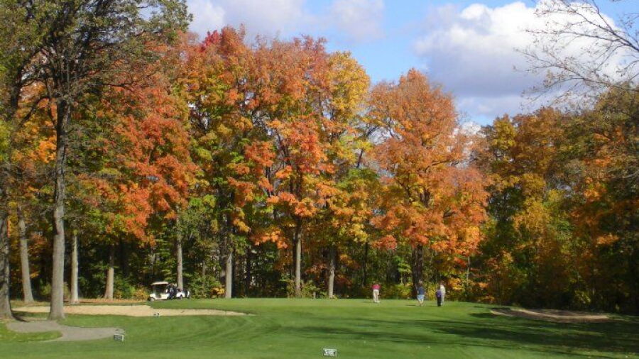 Wanaki GC