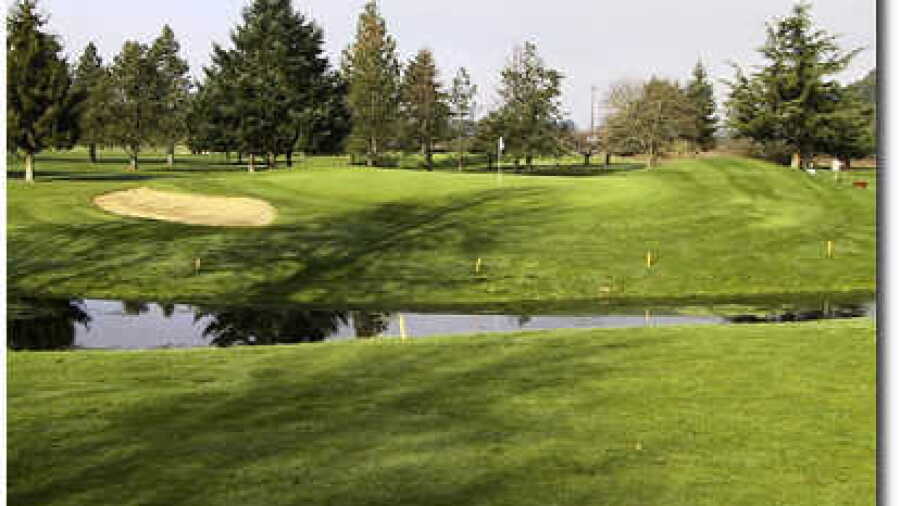 Emerald Valley: Hole #8