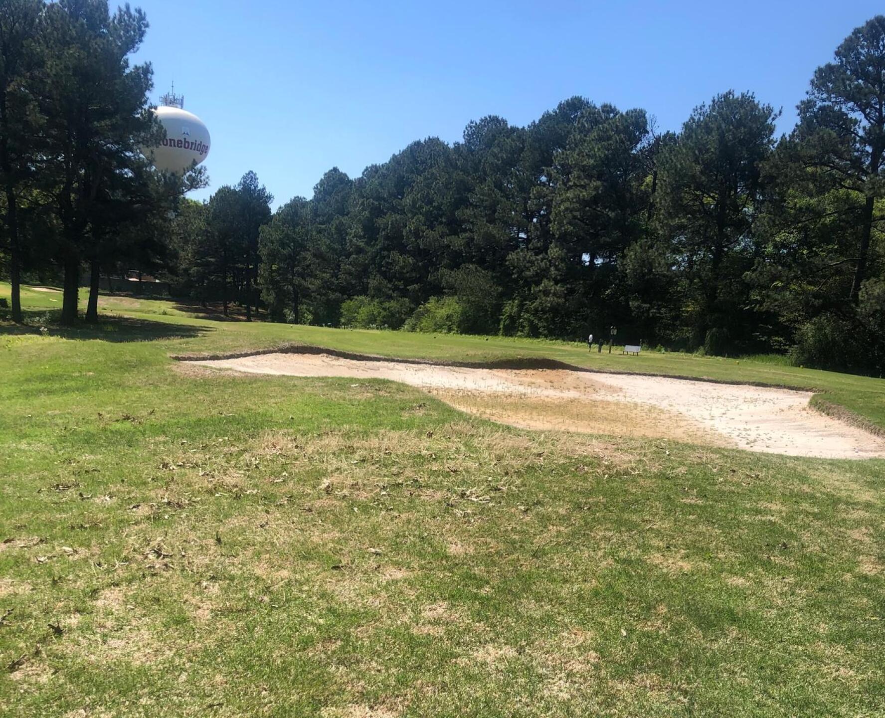 (Photo submitted by Tigersfan1 on 04/29/2020)