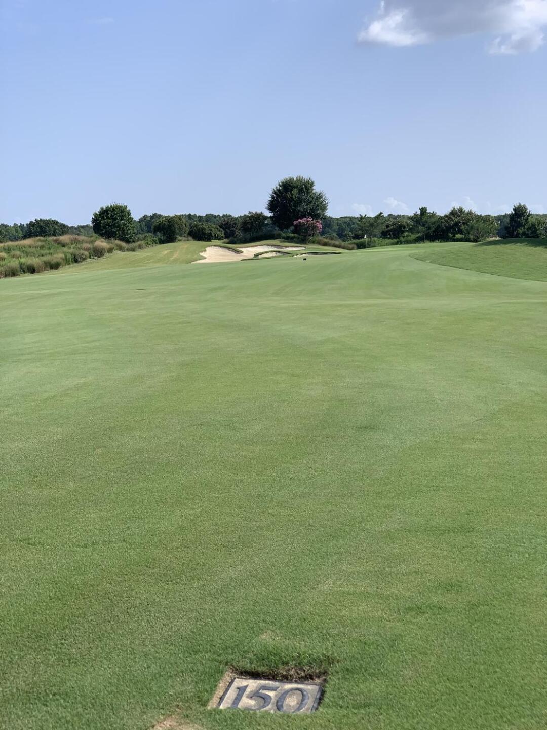 (Photo submitted by AMATTUCCI on 08/27/2021)