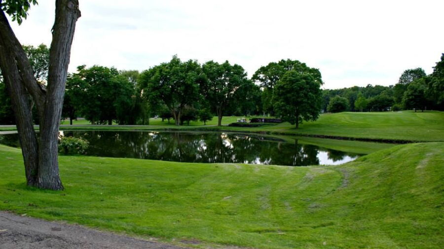 Springbrook CC