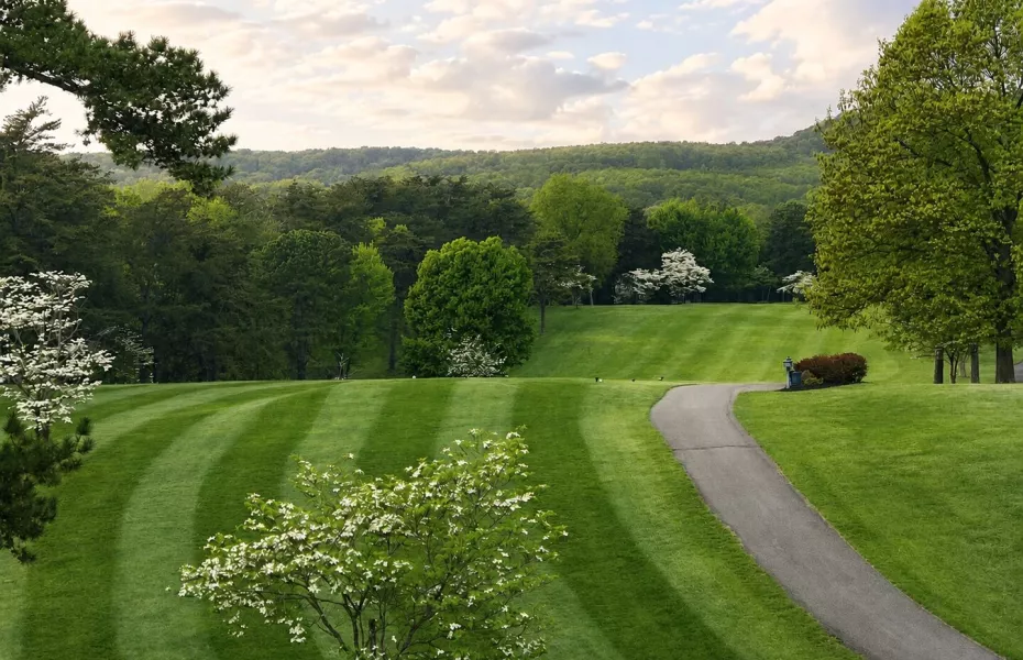 The Woods Resort - Mountain View: #1