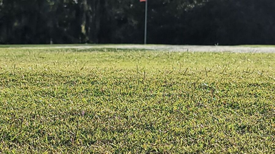 Willow Lakes Golf Club