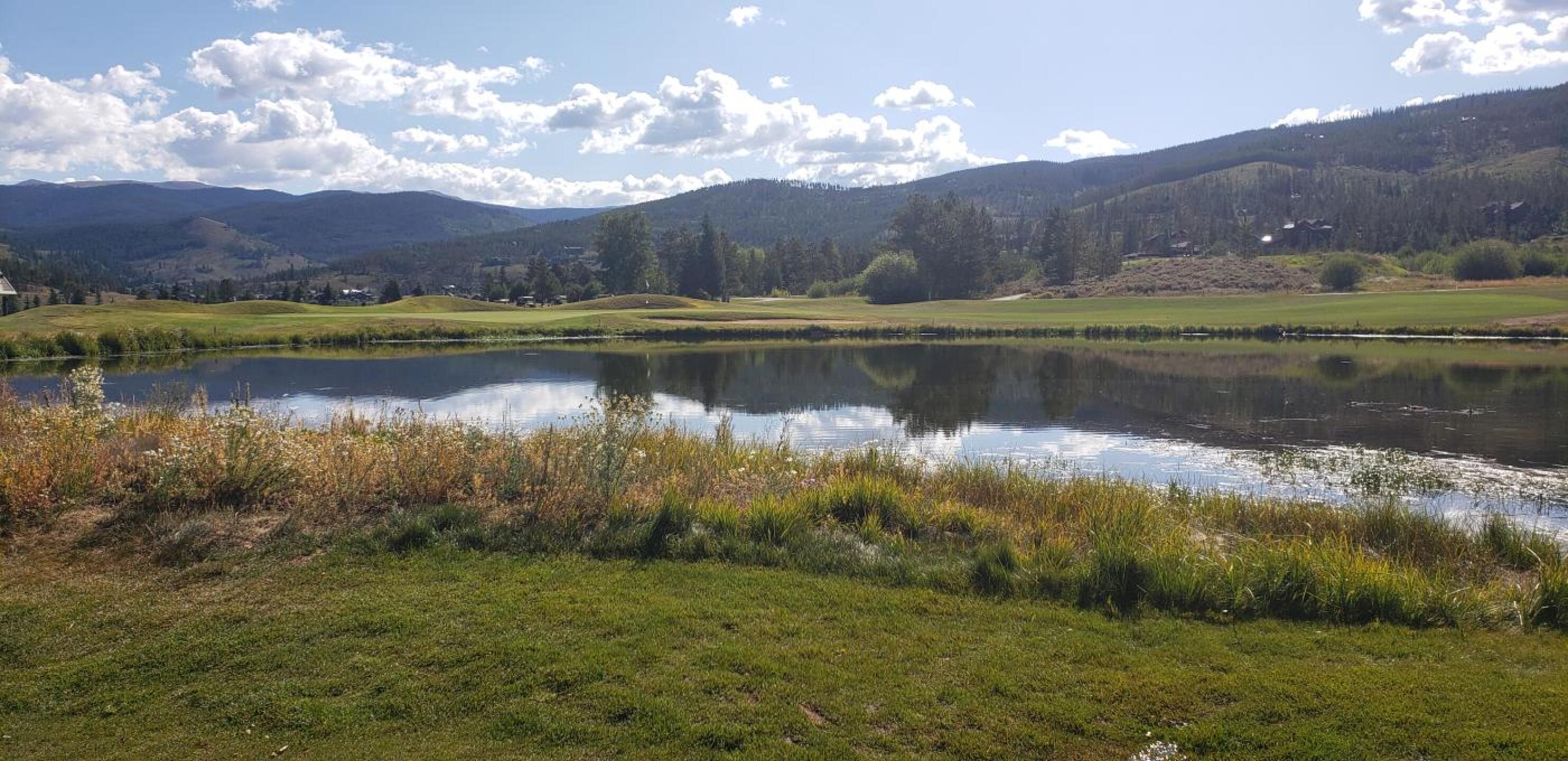 Bear (Photo submitted by MikeeTexasGolfer on 09/05/2019)