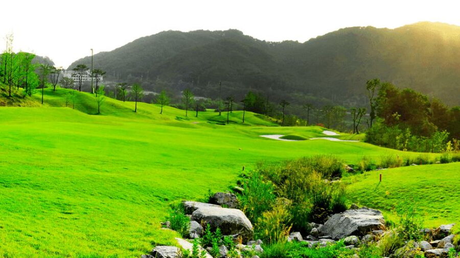 Adelscott CC