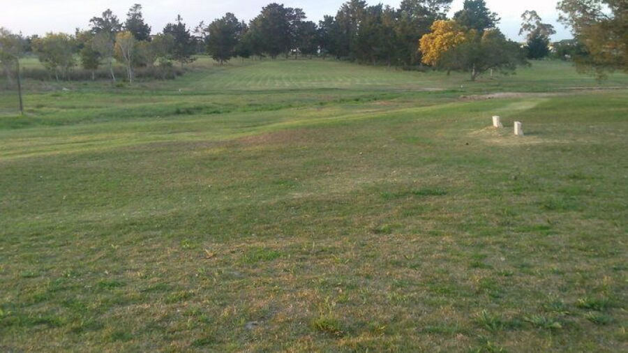 Albertinia GC