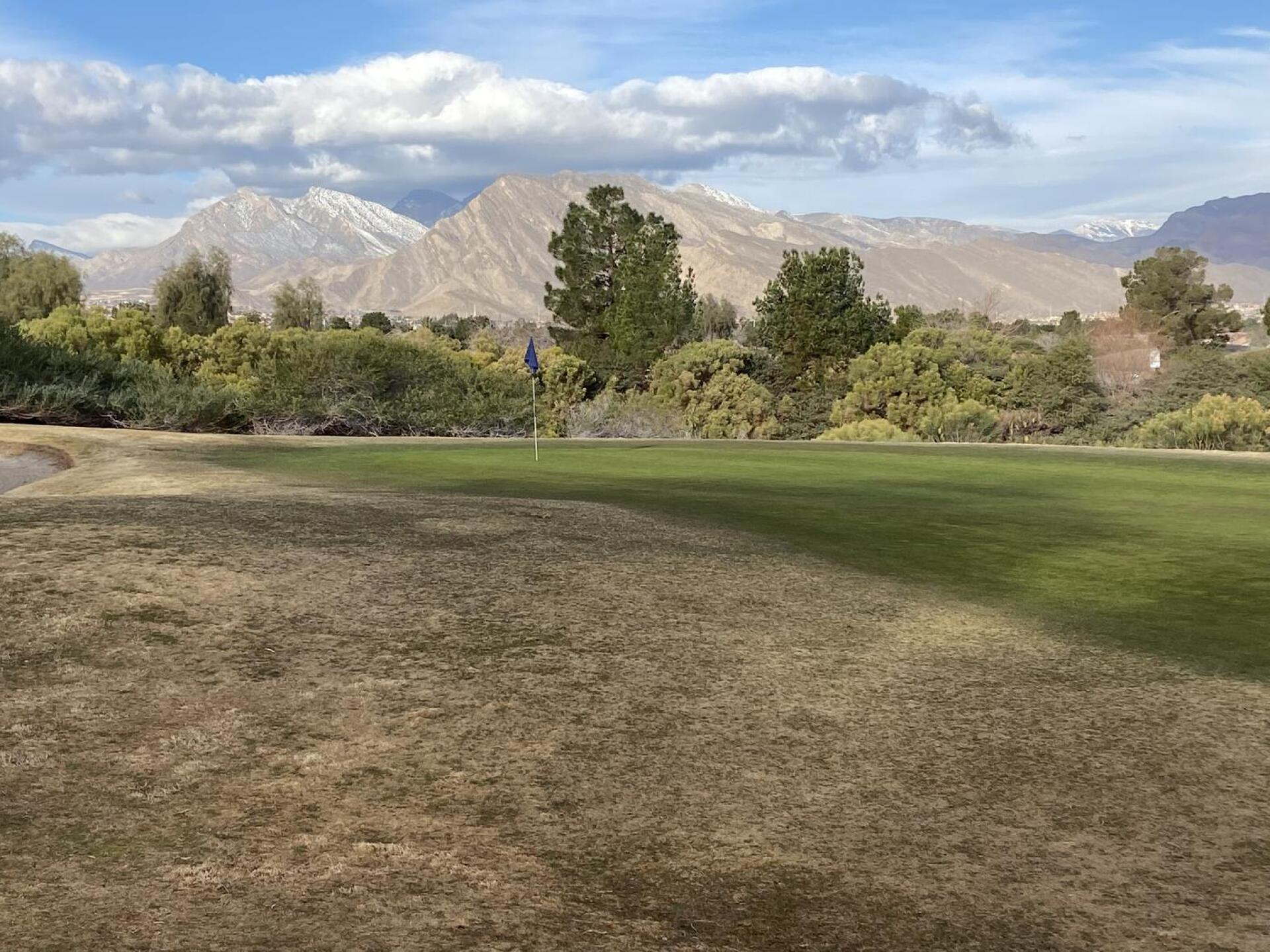 (Photo submitted by Mort1969 on 03/04/2023)