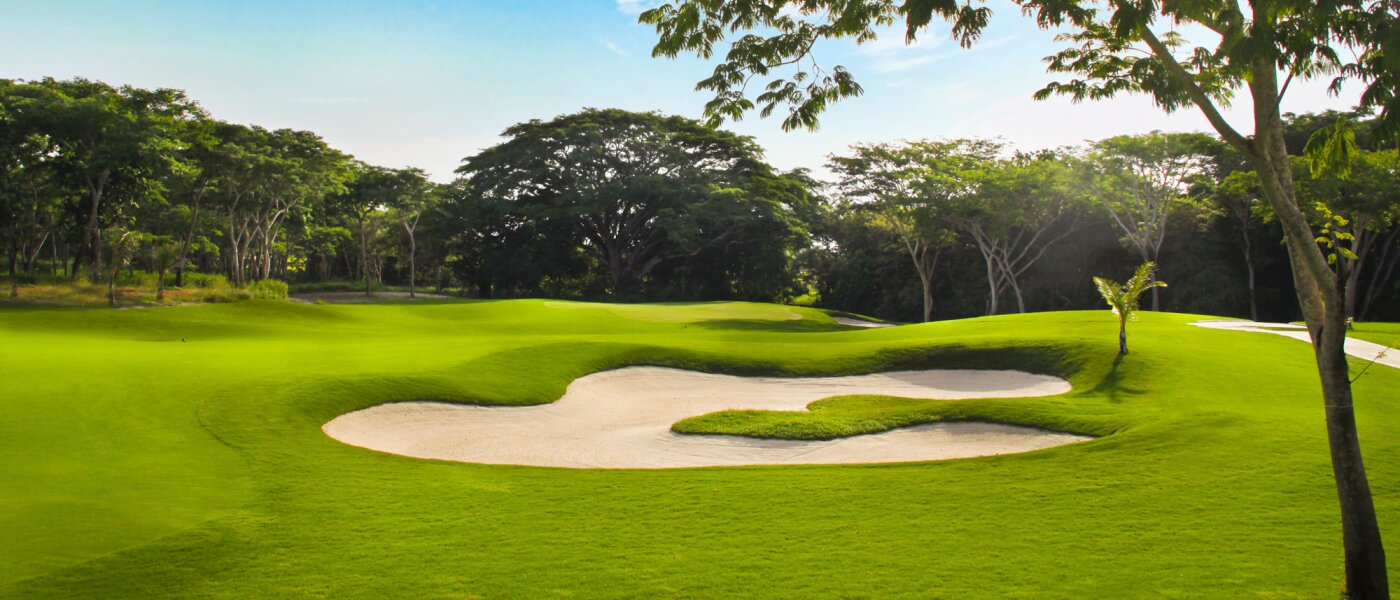 The Buenaventura Golf & Beach Resort
