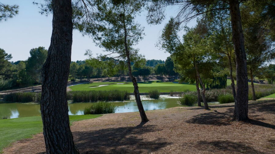 El Bosque GC