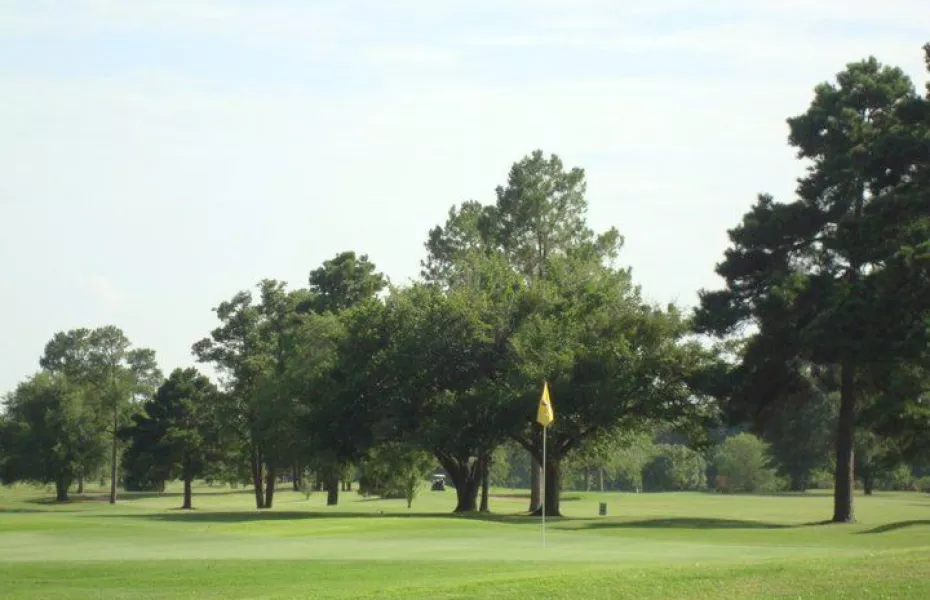 Palmetto CC