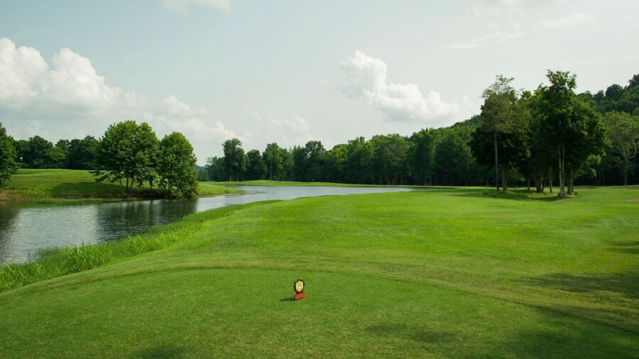 Lucas Oil GC