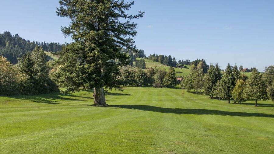 Oberstaufen-Steibis GC: #4