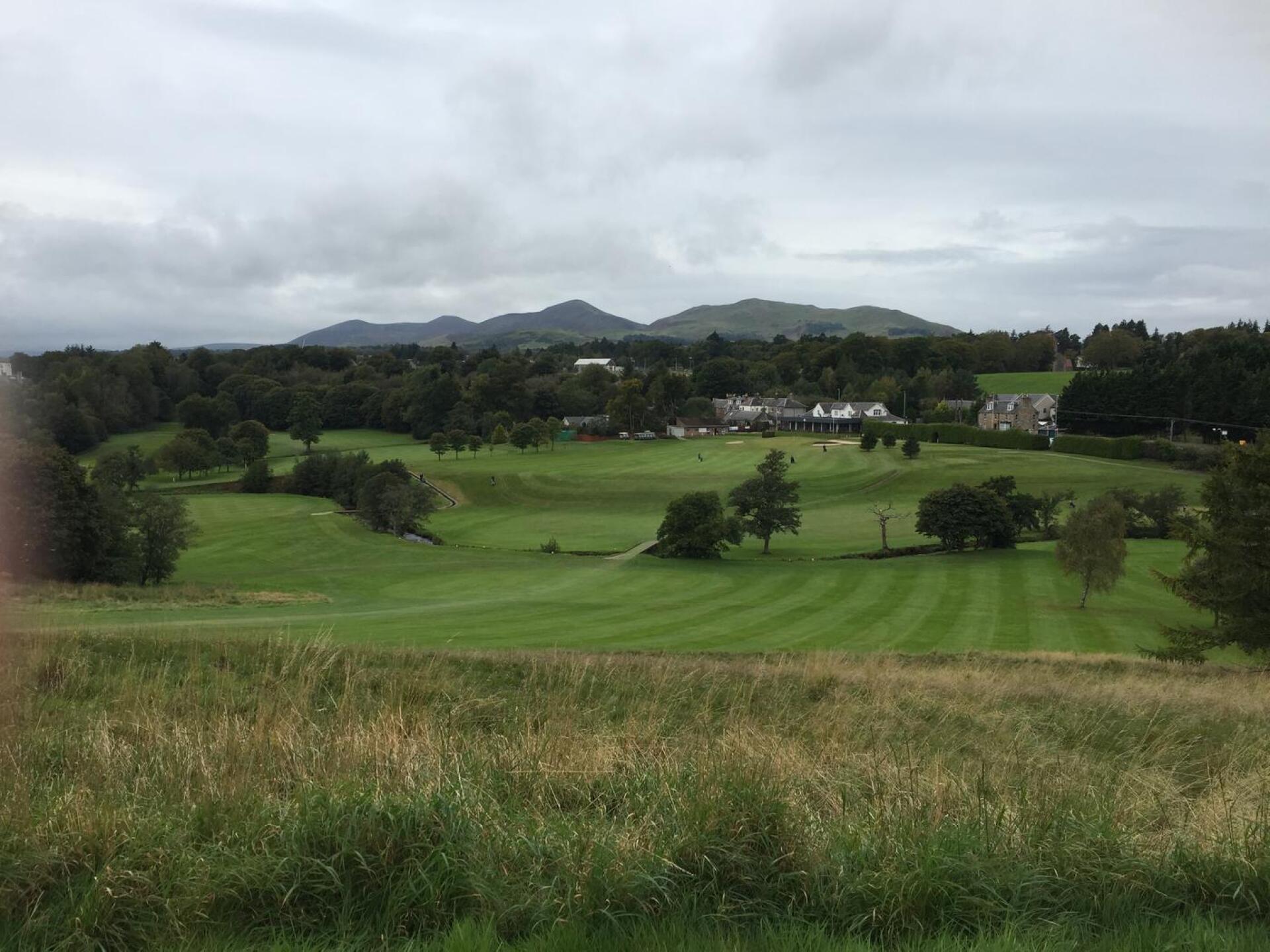 (Photo submitted by t480218212 on 09/29/2020)