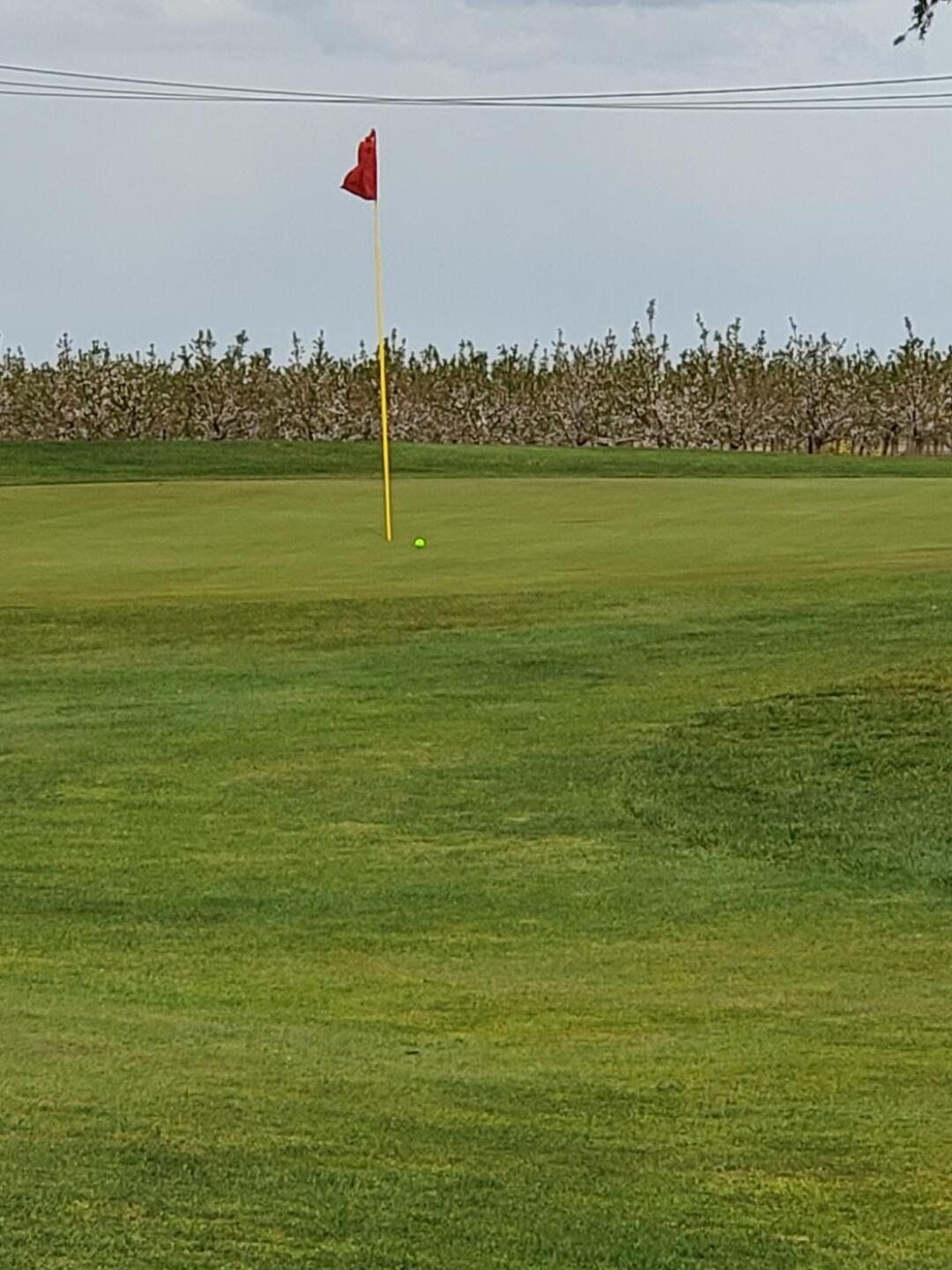 (Photo submitted by Michael5606 on 03/02/2020)