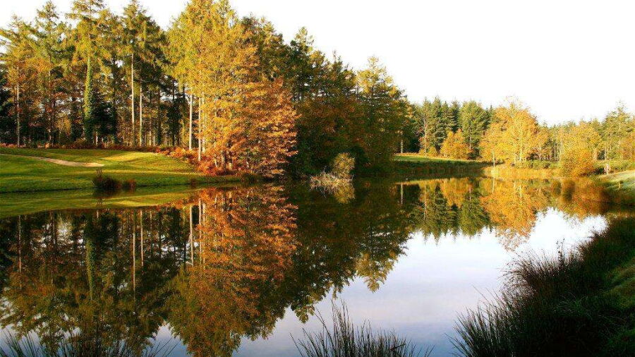Water Hazard at Remedy Oak