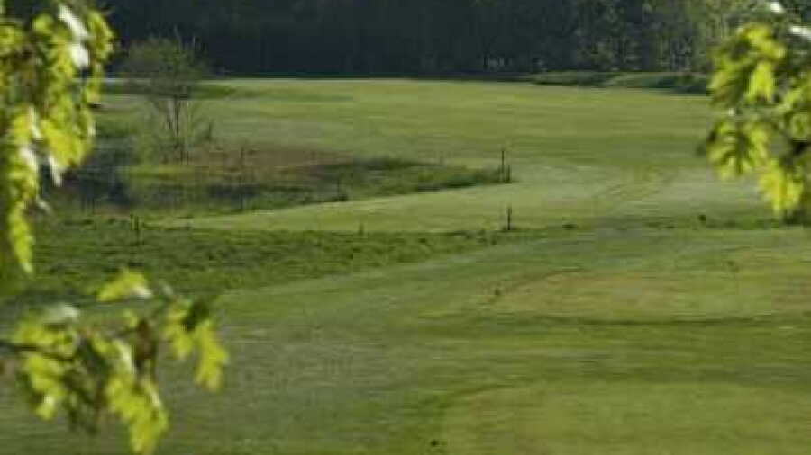 Vechta Welpe GC: #14