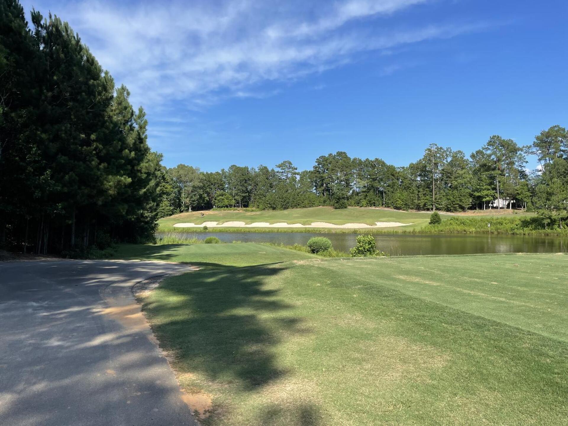 Hole #16 Par 3 (Photo submitted by swoosh23 on 07/18/2022)
