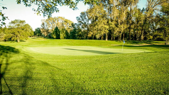 Blue at Lacoma GC
