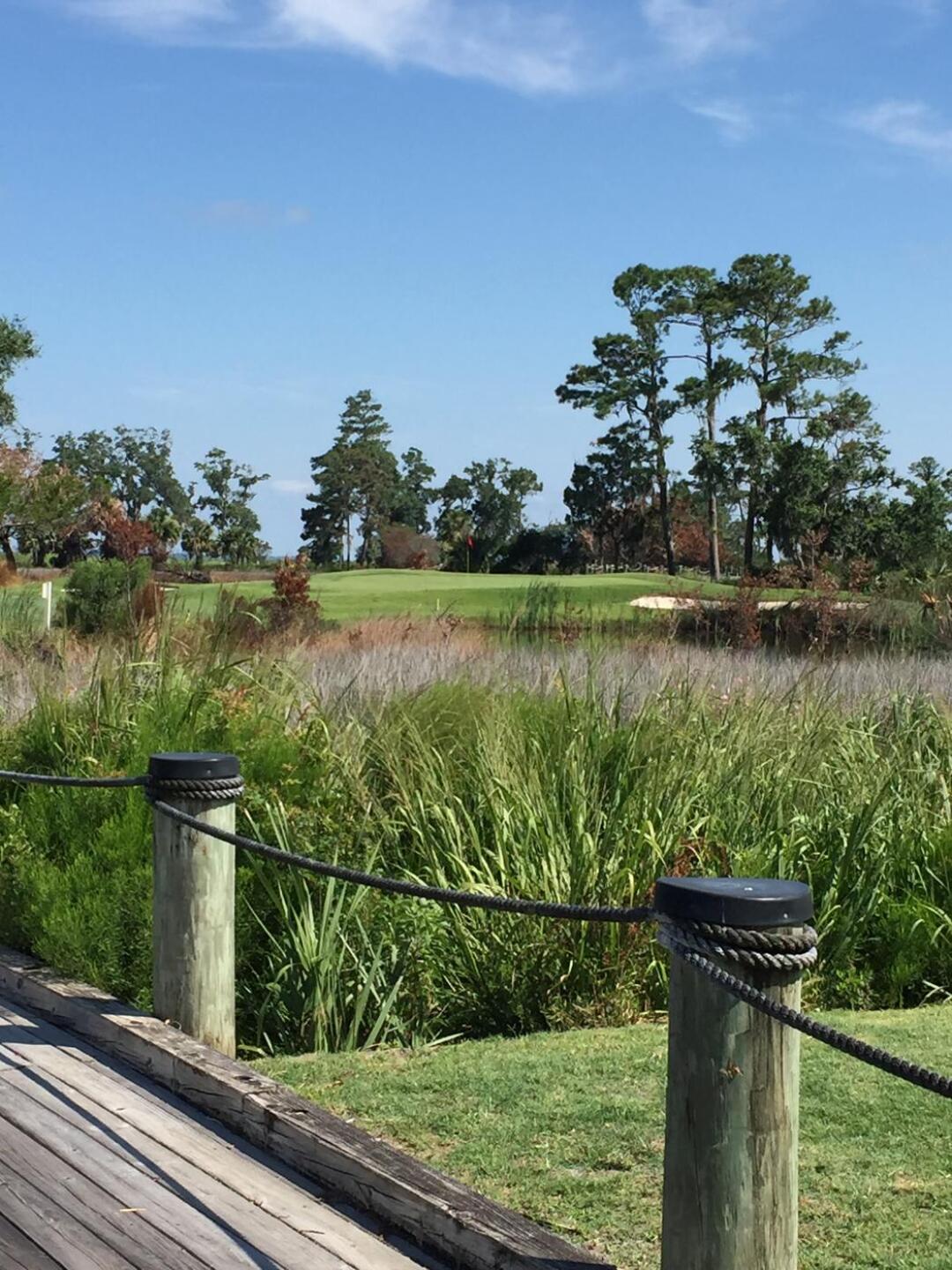 (Photo submitted by tellen on 06/29/2018)