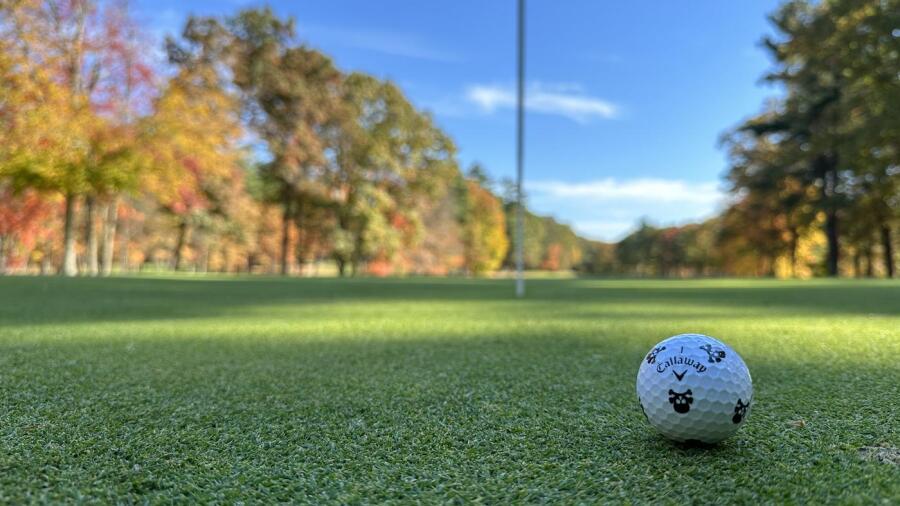 Maplegate Country Club - golf ball
