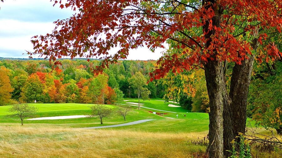 Windber CC: #4