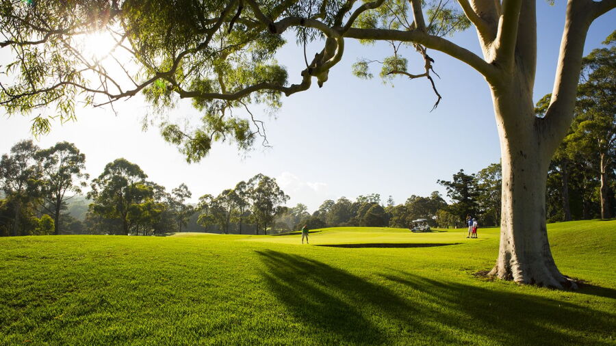 Castle Hill CC