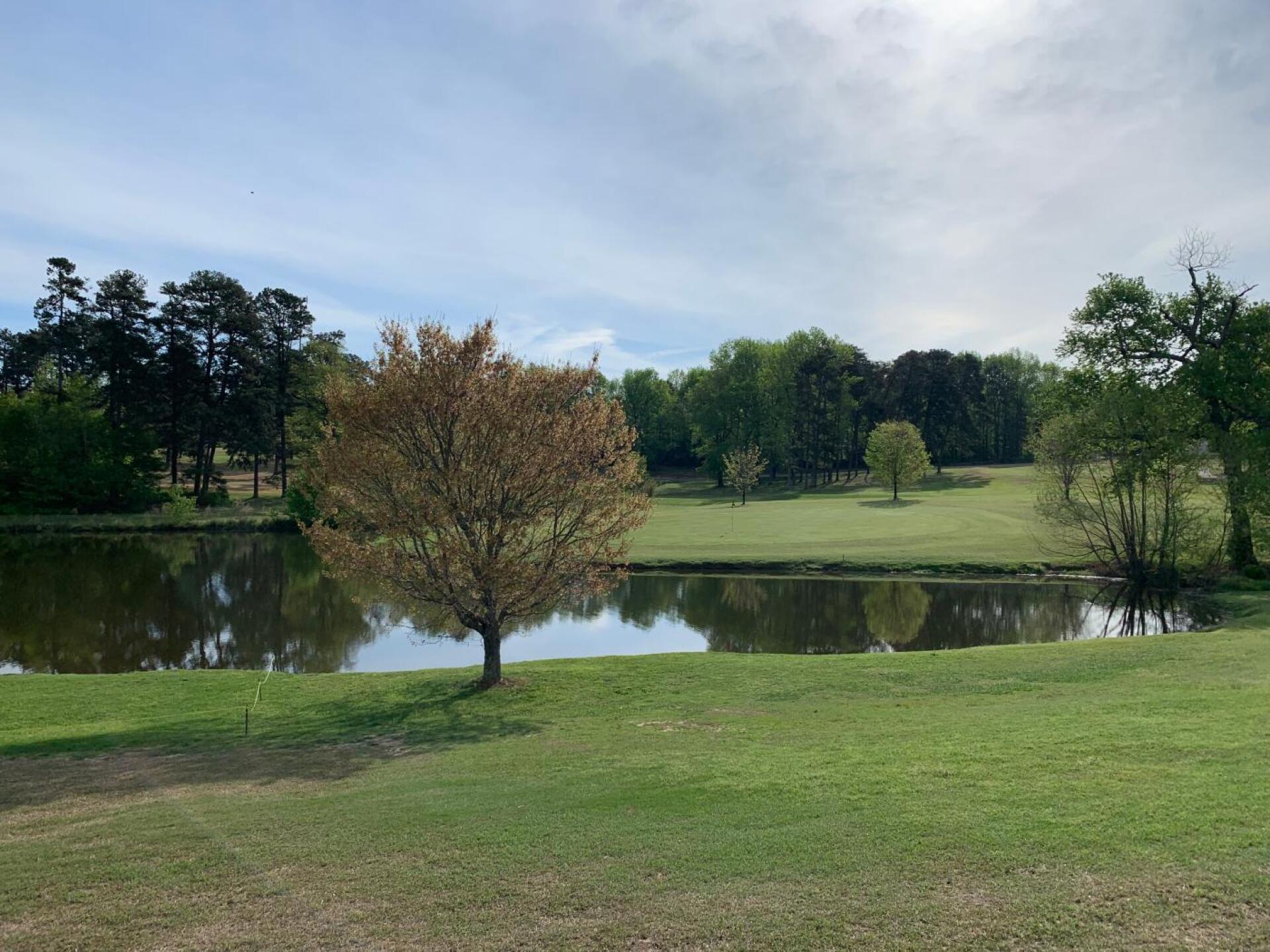 (Photo submitted by Jeff7912065 on 04/17/2019)