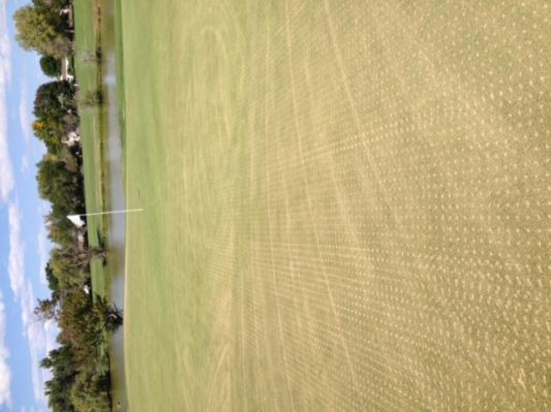 (Photo submitted by u944877224 on 09/18/2014)