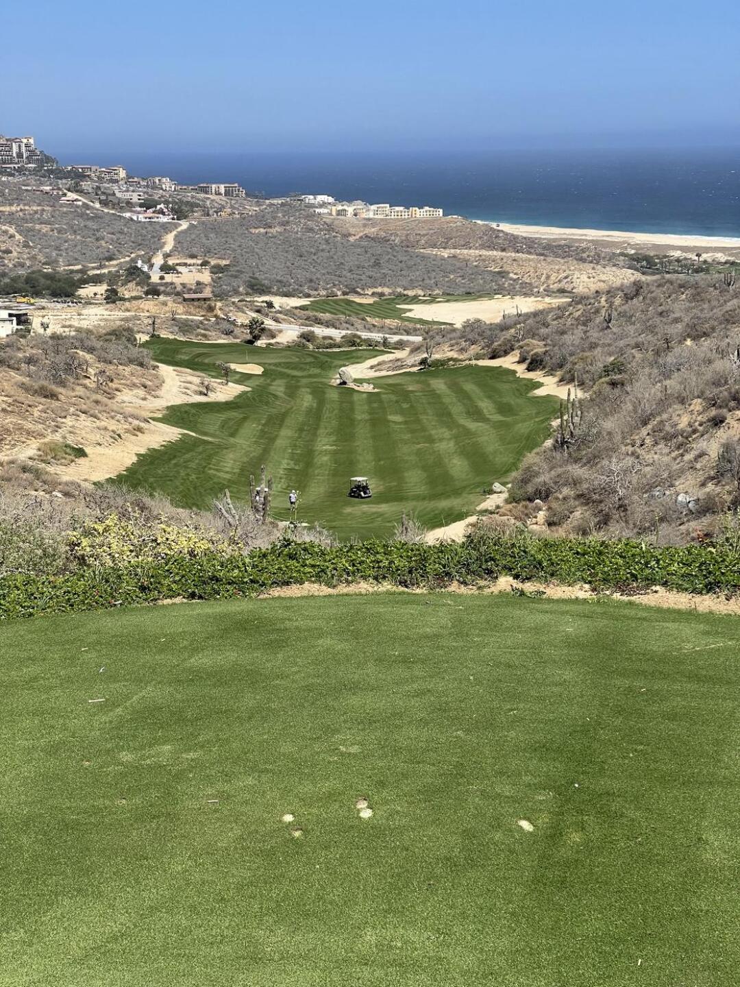 (Photo submitted by jayfieldstampa on 03/31/2025)