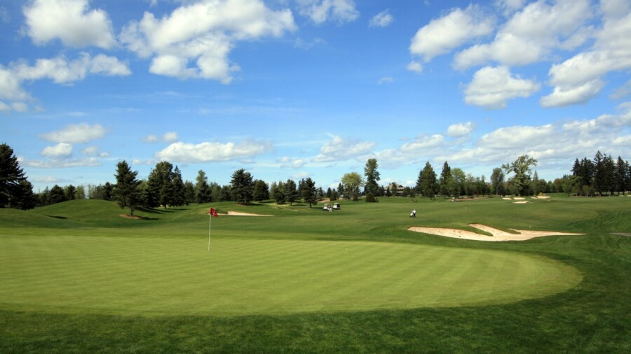 Reserve Vineyard - South golf course - 3rd green