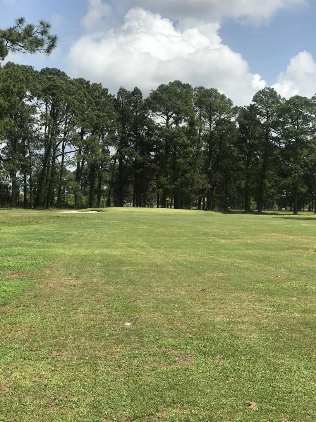 (Photo submitted by Psikorski on 03/31/2021)