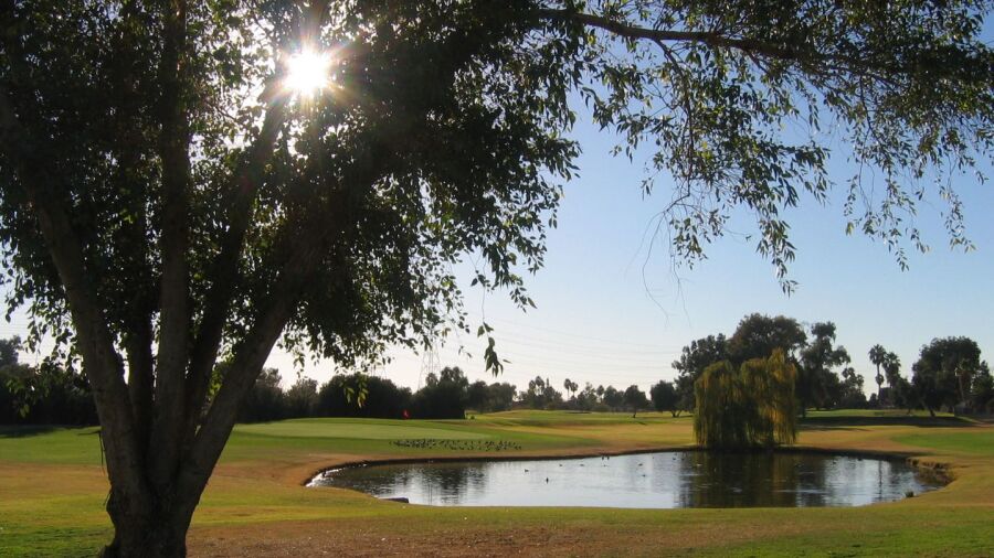 Peoria Pines GC