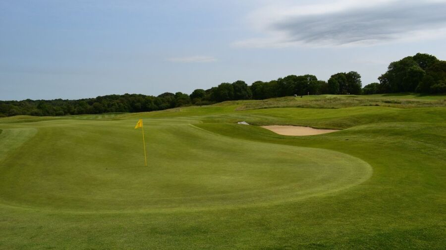 New Forest Golf