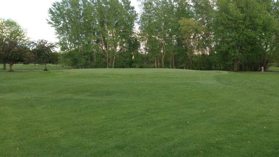 Fox Run GC: #10