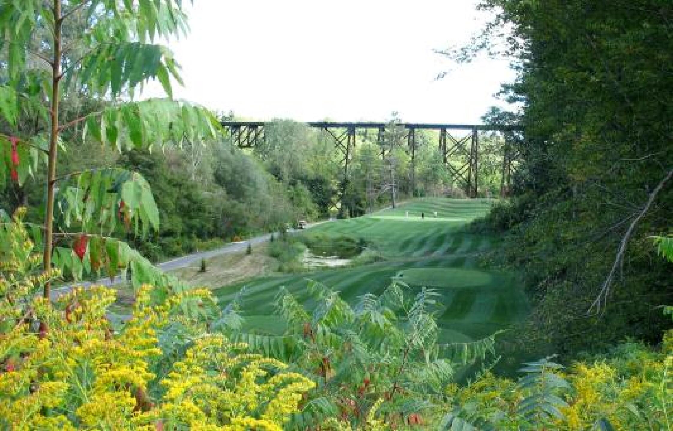 (Photo submitted by Arthur5879122 on 05/20/2014)